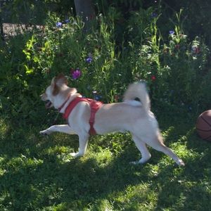 Meet your Posher, Amber